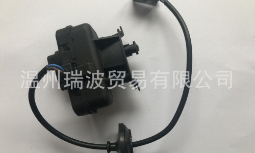 银杏树叶子的药用价值-专业银杏树叶子的药用价值与功效平台-银杏树叶子干枯是什么原因