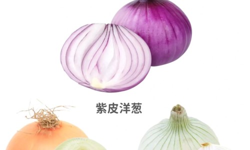 银杏树叶子的药用价值和功效-银杏树叶子的药用价值-专业银杏树叶子的药用价值与功效平台-银杏树叶子干枯是什么原因
