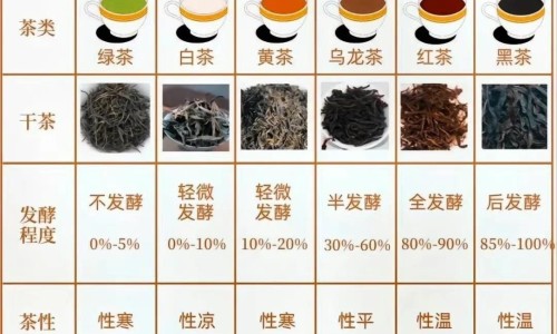 银杏树叶子长不大什么原因-银杏树叶子的药用价值-专业银杏树叶子的药用价值与功效平台-银杏树叶子干枯是什么原因