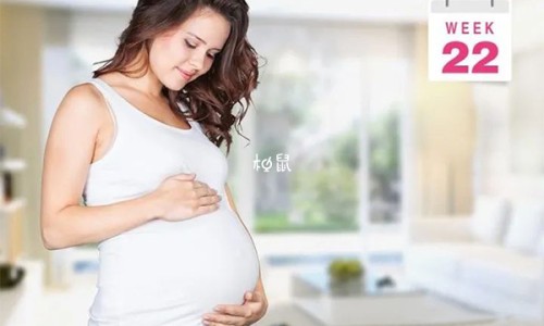 银杏树叶子长不大什么原因-银杏树叶子的药用价值-专业银杏树叶子的药用价值与功效平台-银杏树叶子干枯是什么原因